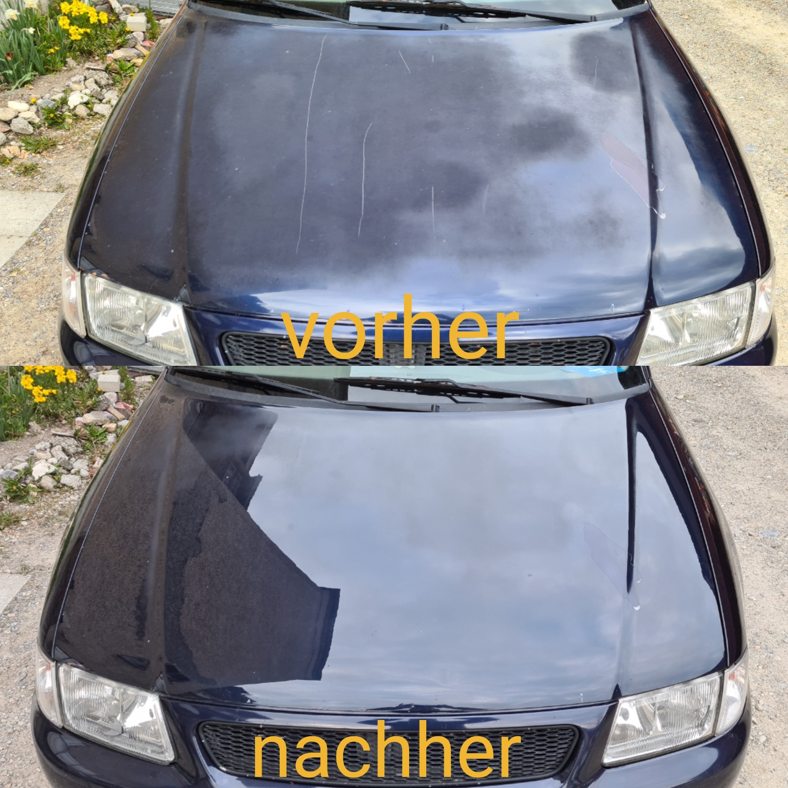 Gute Paste, aber nicht für jeden