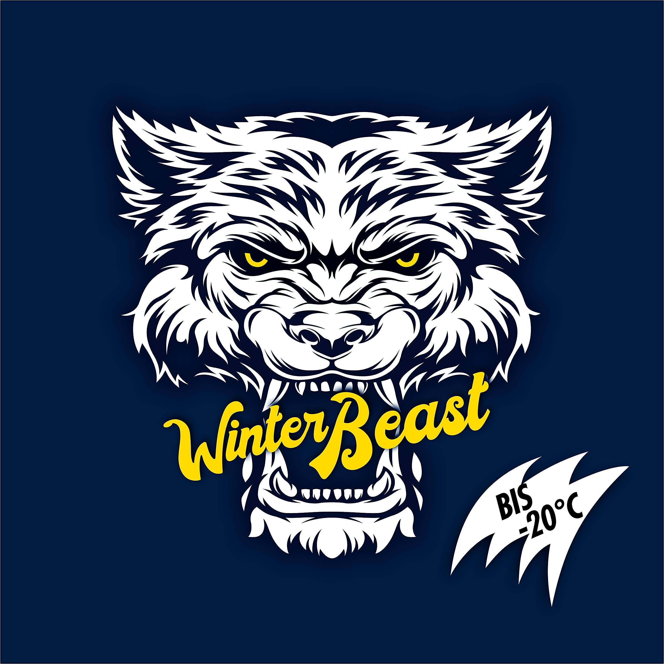 sonax-winterbeast-antifrost-klarsicht-scheibenreiniger-gebrauchsfertig-bis-20-c- image 8
