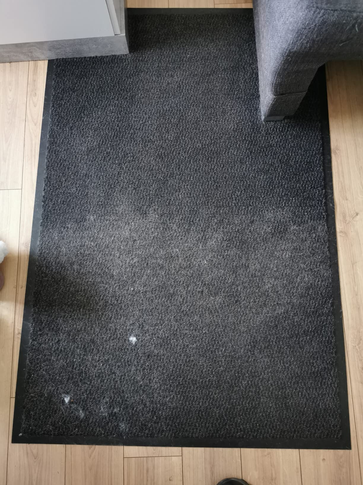 Unverzichtbar für Hundebesitzer